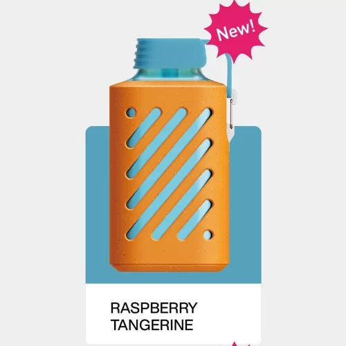 Vozol Gear 10000 Puff Raspberry Tangerine